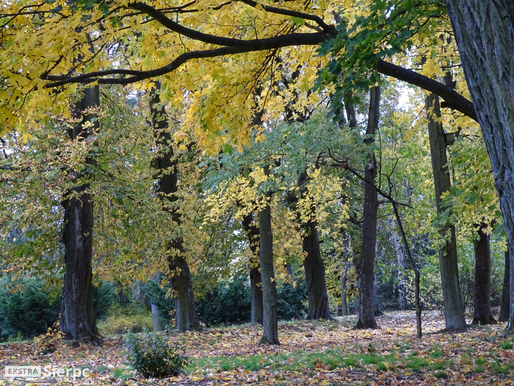Jesienny skansen