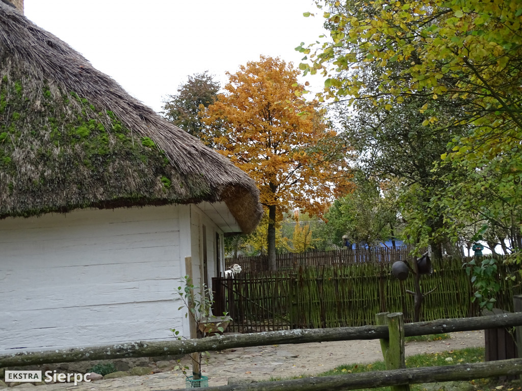 Jesienny skansen