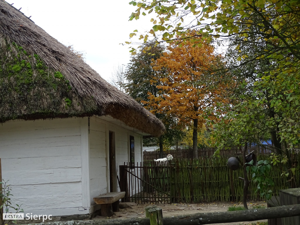 Jesienny skansen