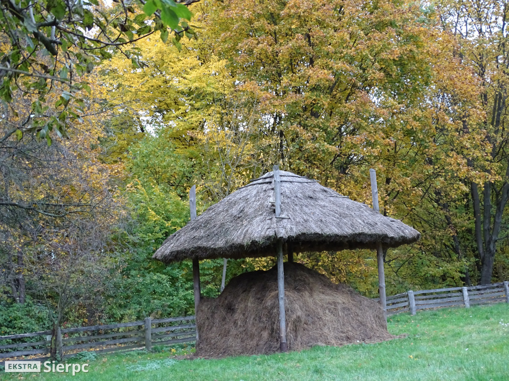 Jesienny skansen