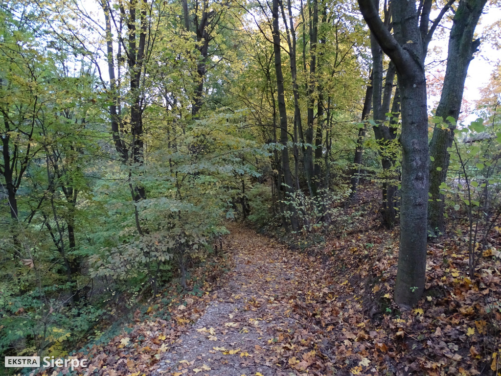 Jesienny skansen