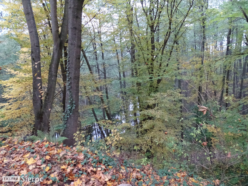 Jesienny skansen
