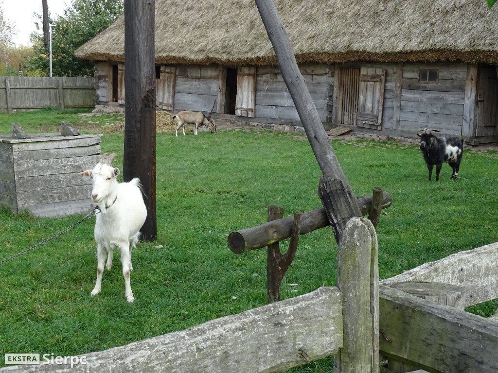 Jesienny skansen