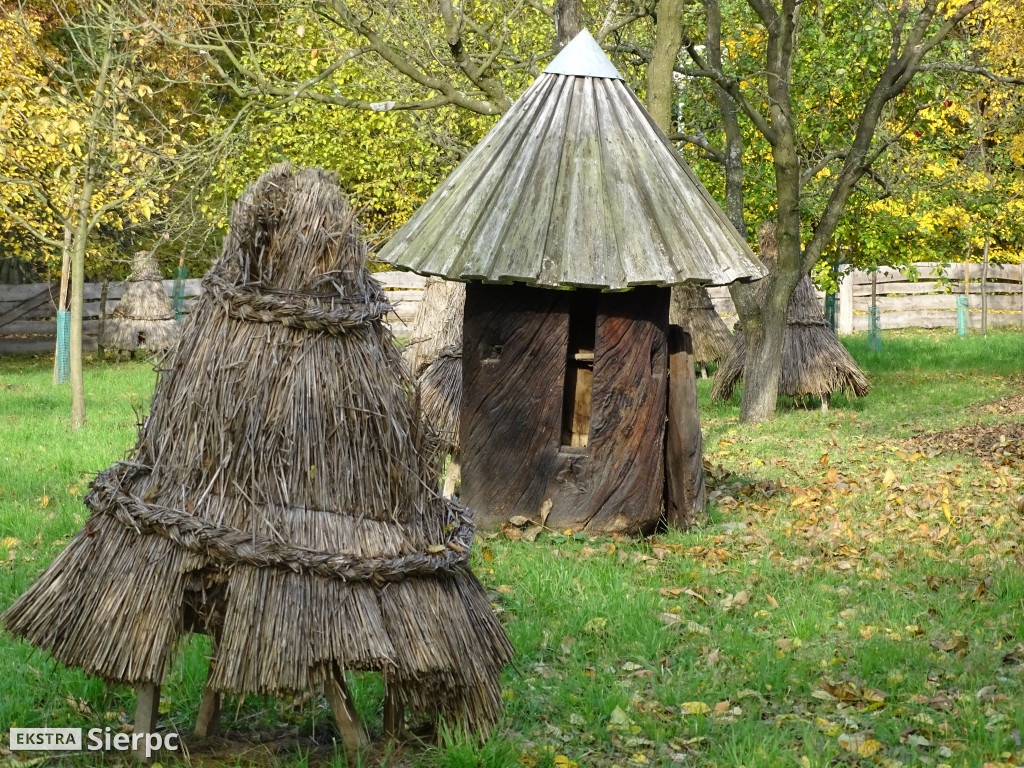 Jesienny skansen