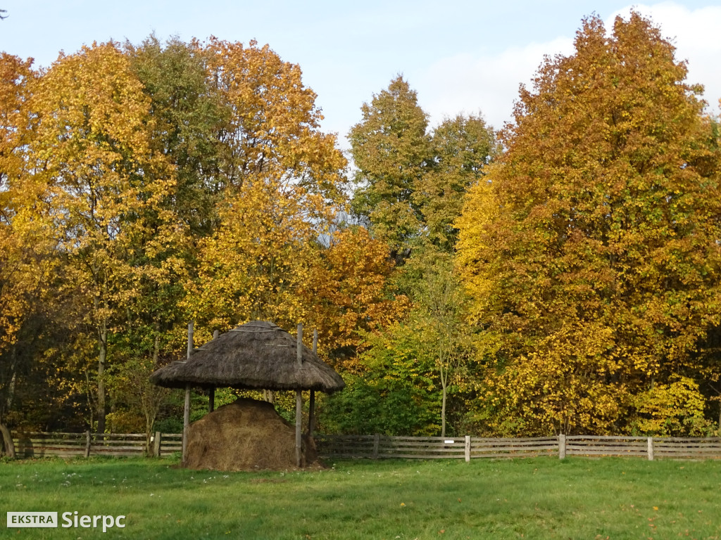 Jesienny skansen