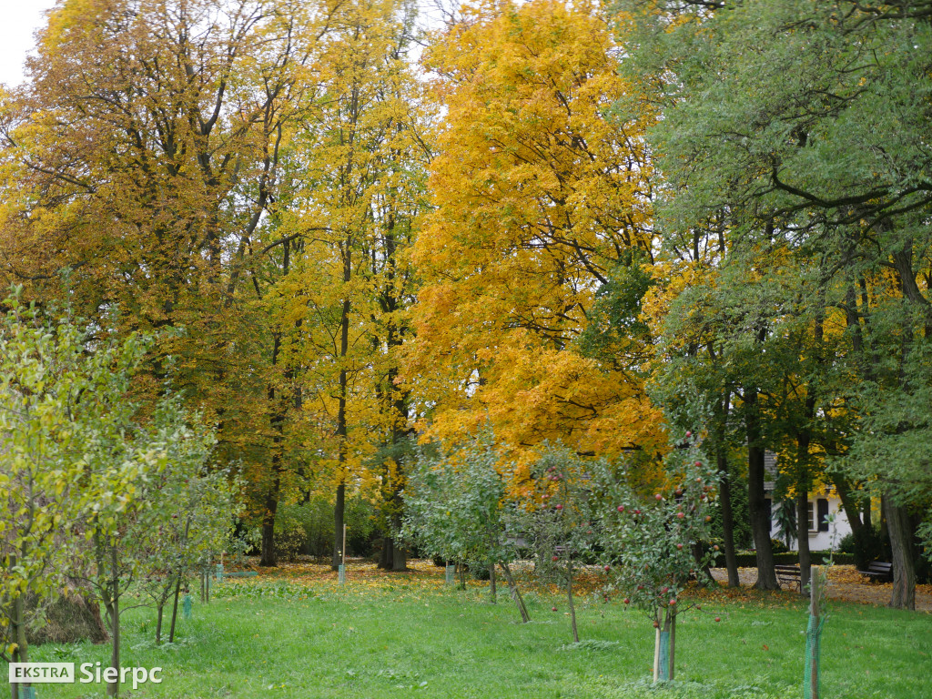 Jesienny skansen