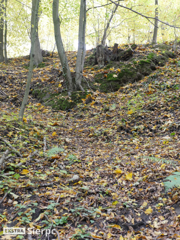 Jesienny skansen