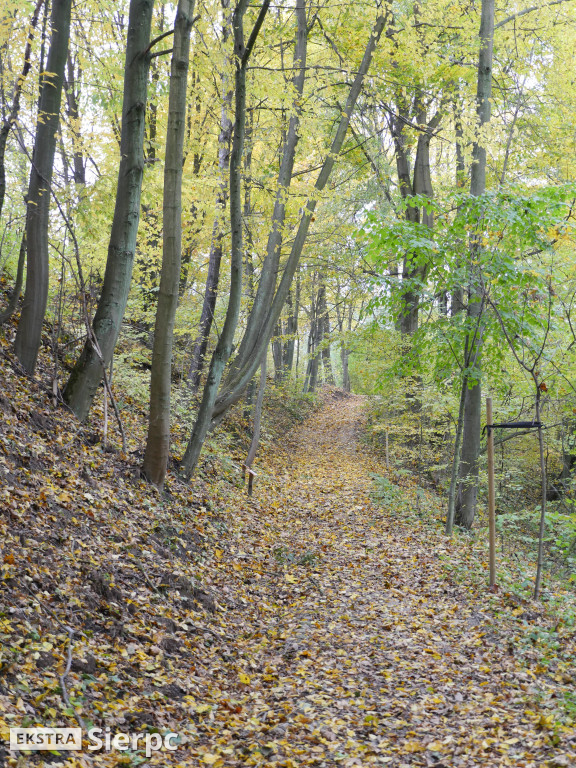 Jesienny skansen