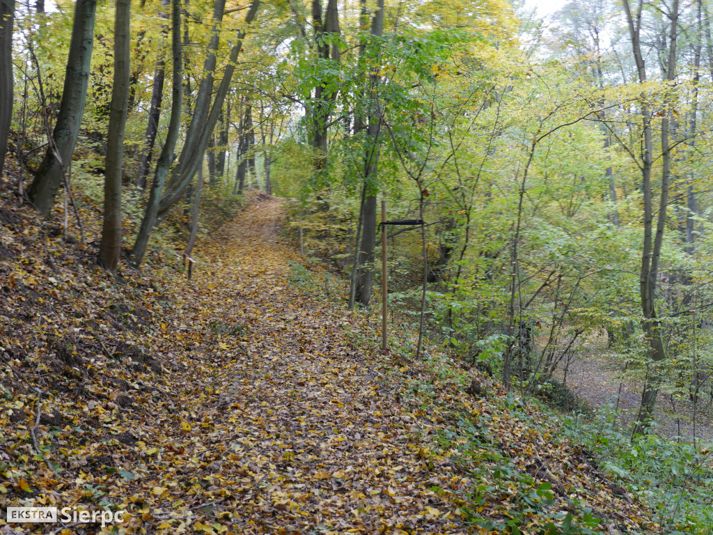 Jesienny skansen