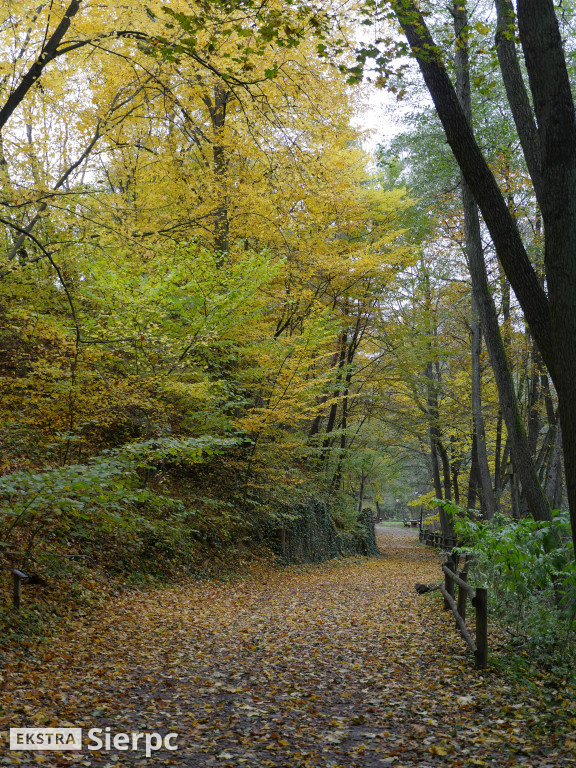 Jesienny skansen