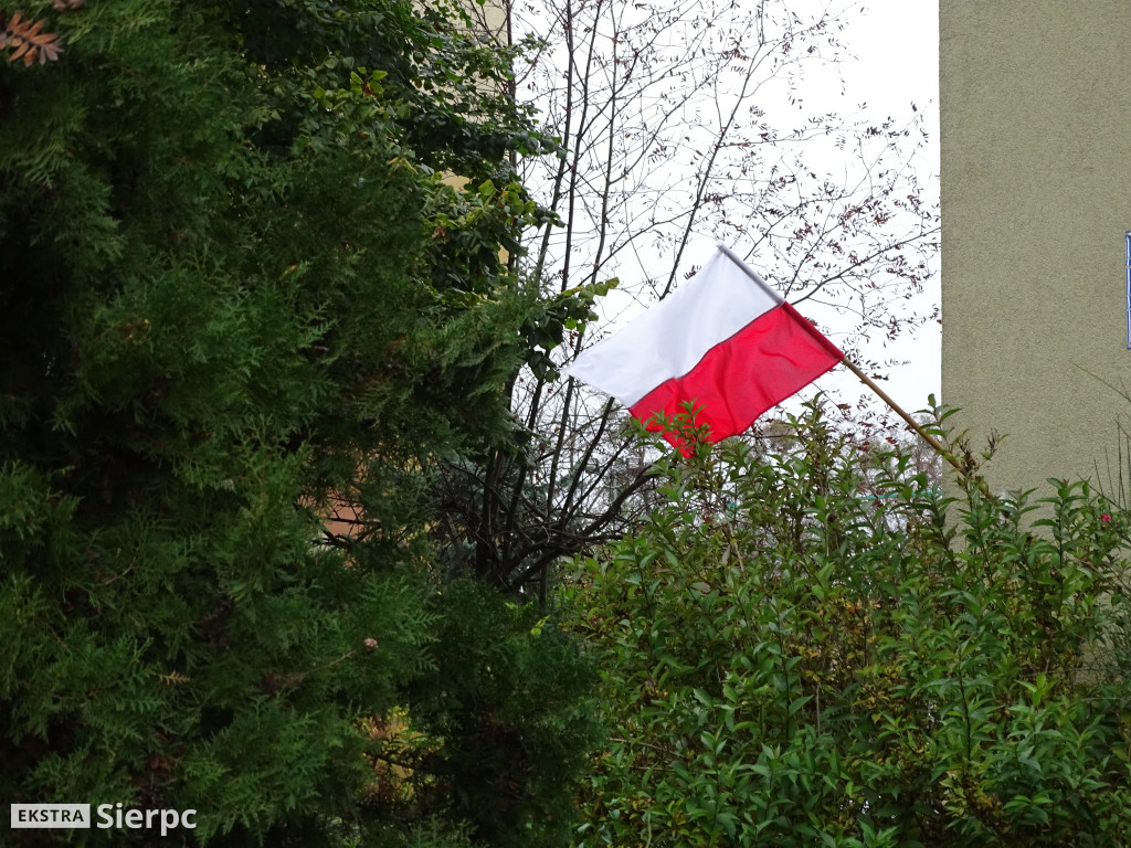 Święto Niepodległości w Sierpcu