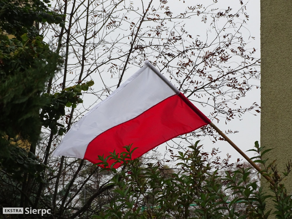 Święto Niepodległości w Sierpcu