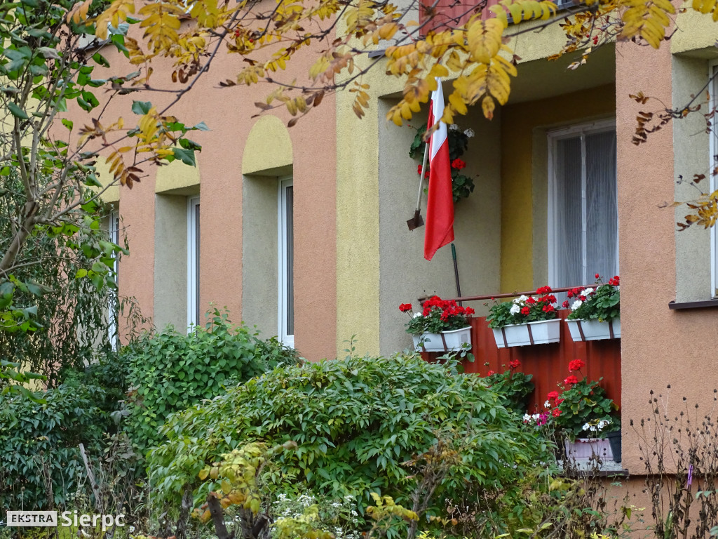 Święto Niepodległości w Sierpcu