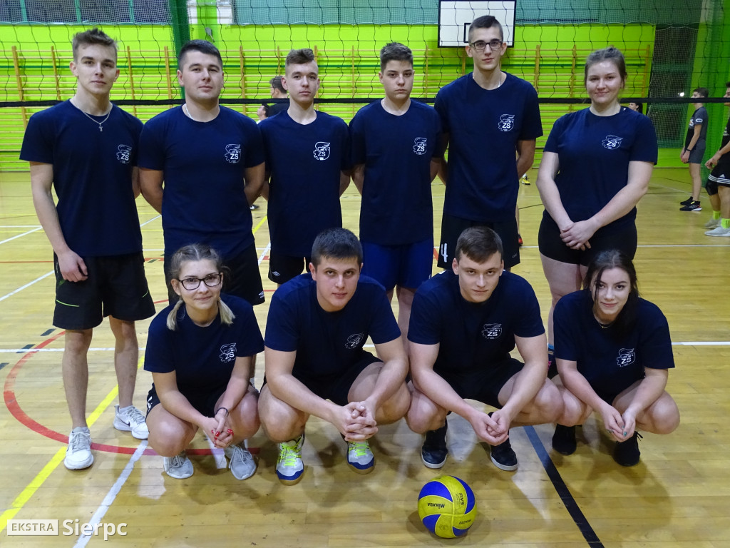 Miejska Liga Siatkówki Drużyn Mieszanych