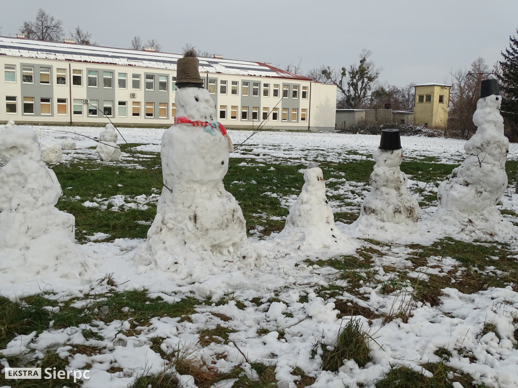 Zimowe zabawy na śniegu