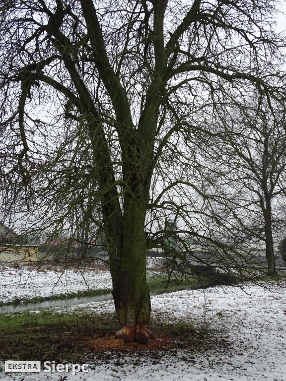 Bobry nad Sierpienicą