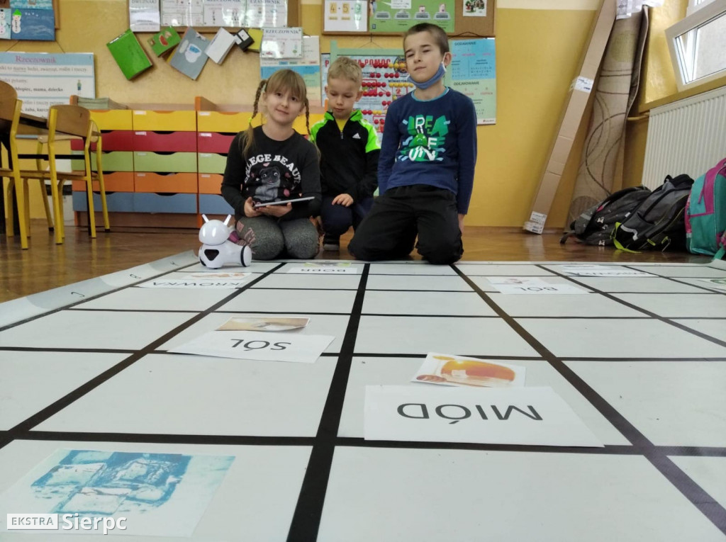Robotyka i programowanie w szkole  w Gójsku