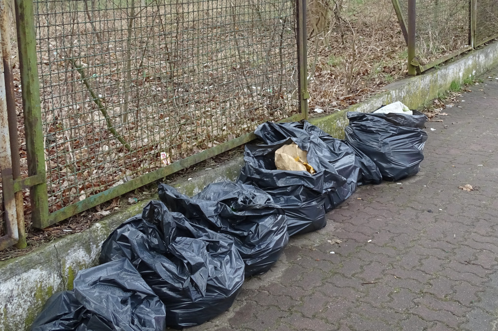 Posprzątane śmieci przy dworcu