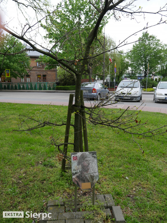 77. rocznica bitwy o Monte Cassino