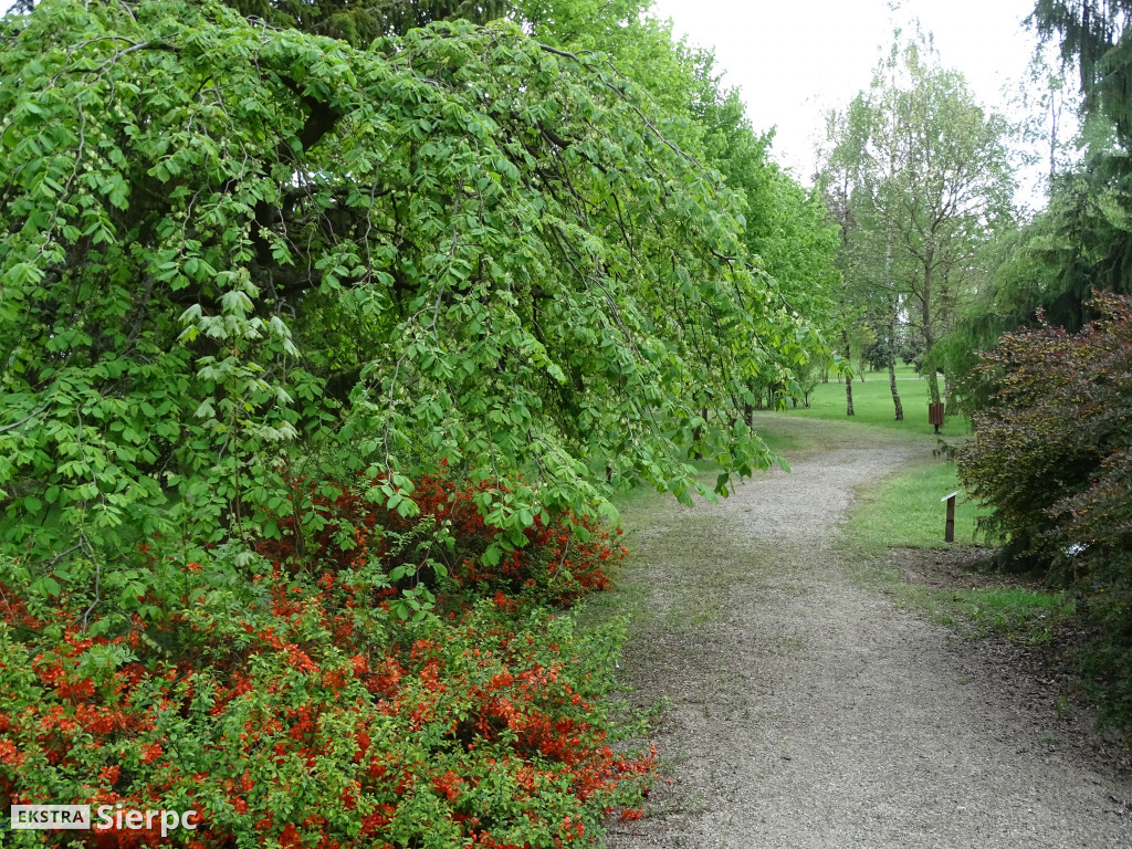 Wiosna w skansenie
