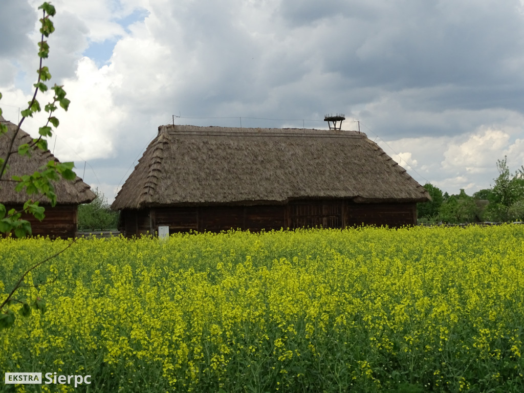 Wiosna w skansenie