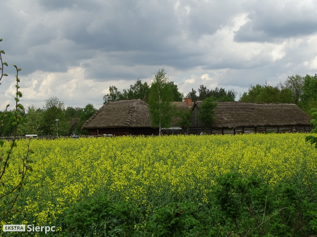 Wiosna w skansenie