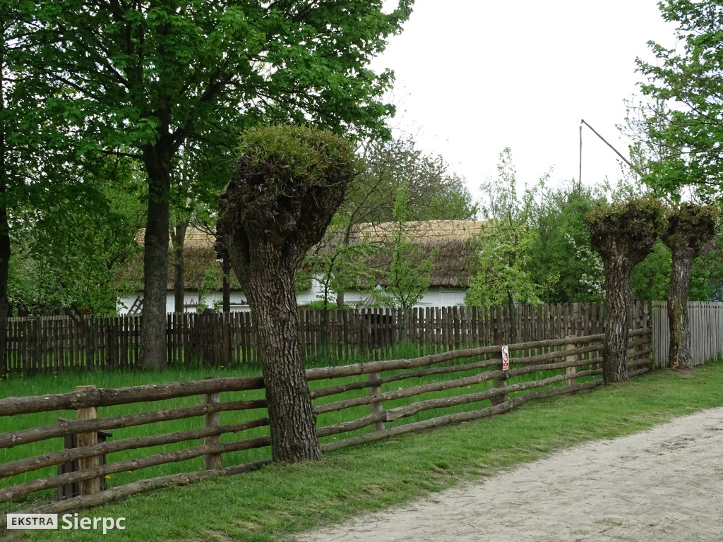 Wiosna w skansenie