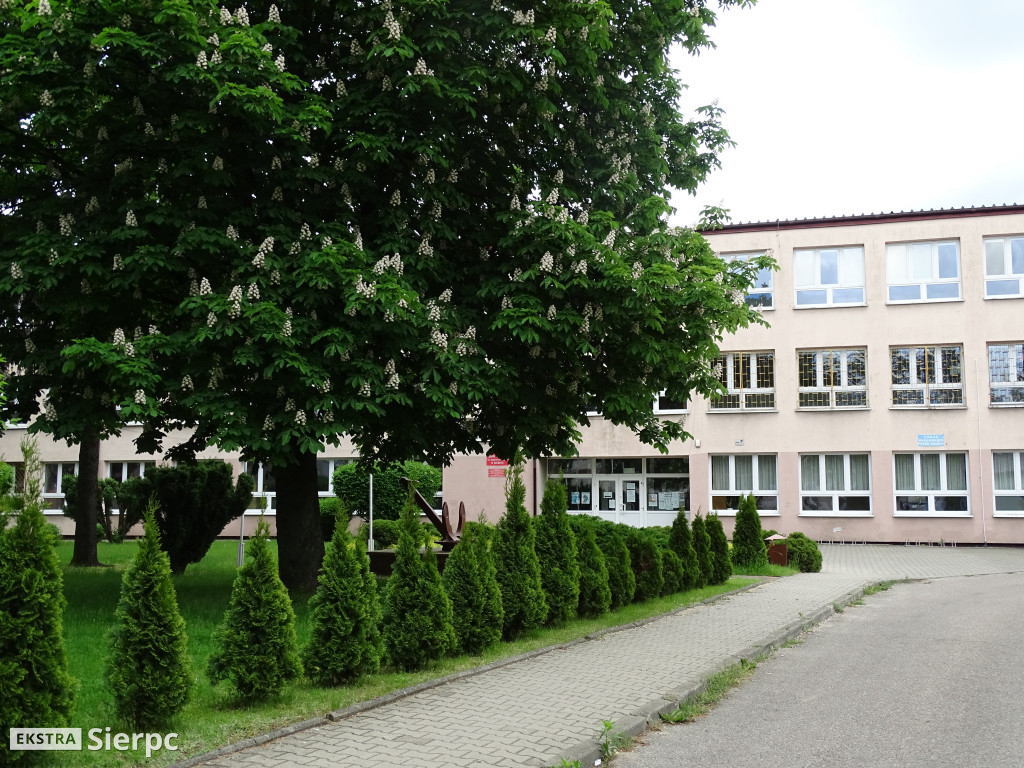 Kwitnące rośliny w Sierpcu