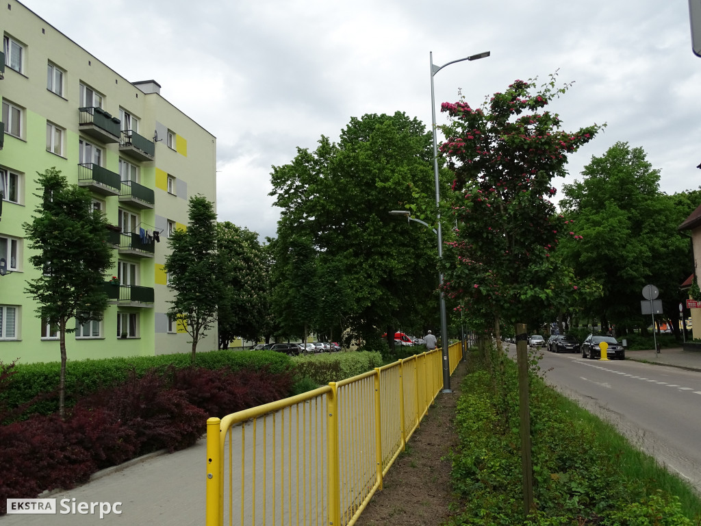 Kwitnące rośliny w Sierpcu