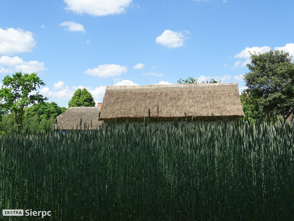 Dzień Dziecka w skansenie