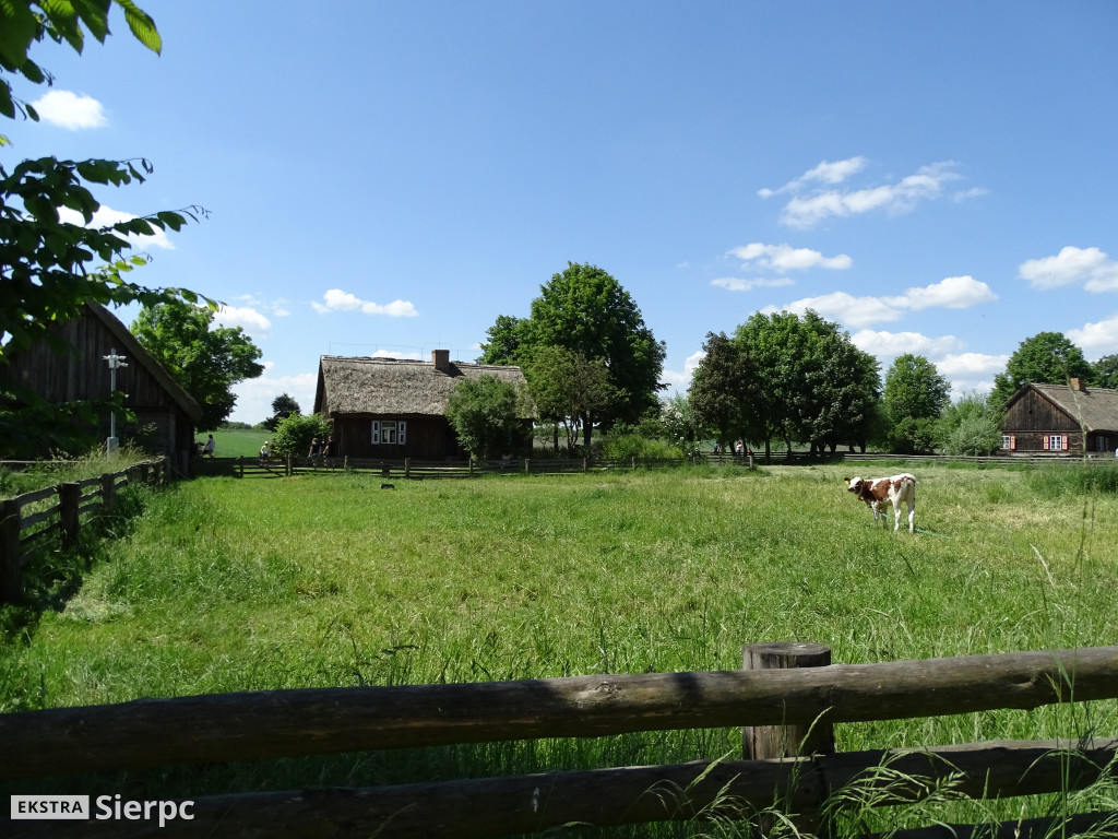 Dzień Dziecka w skansenie