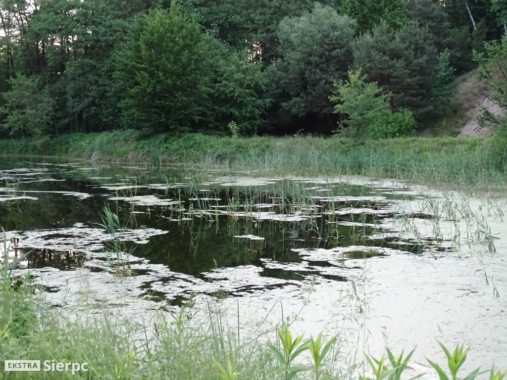 Piknik z okazji 15-lecia OTR przy TKKF Kubuś