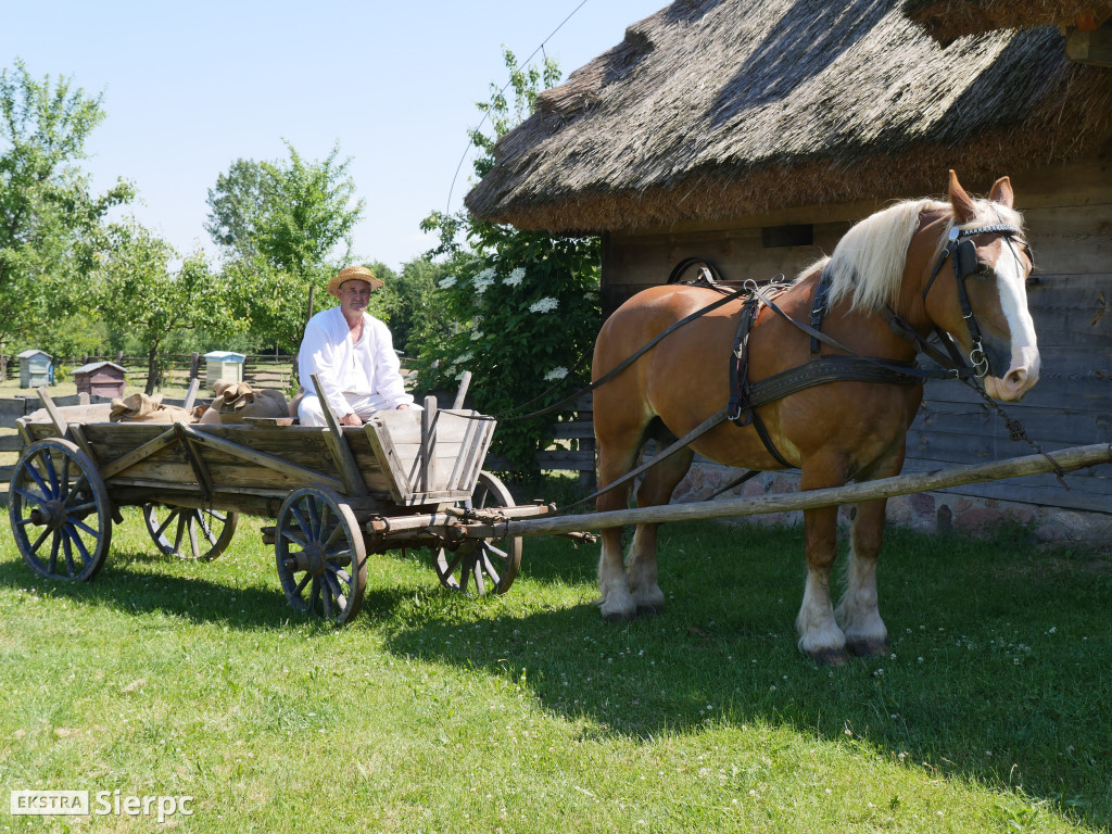 Otwarcie wiatraka w skansenie