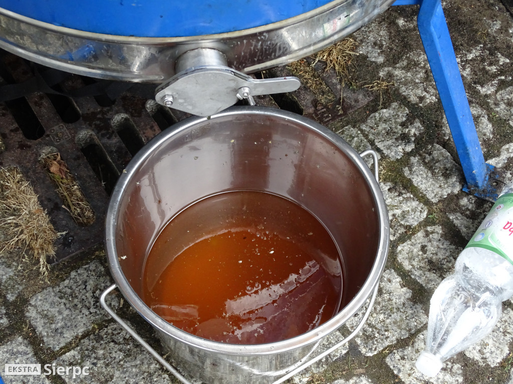 Miodobranie w skansenie