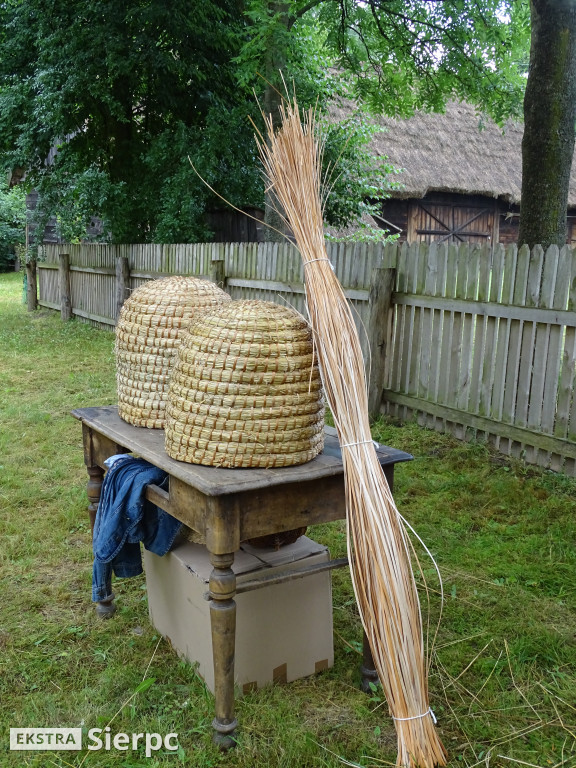 Miodobranie w skansenie
