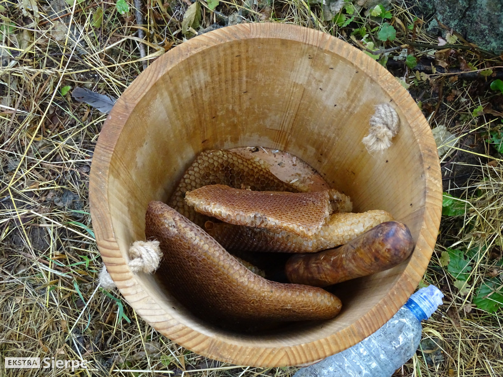 Miodobranie w skansenie