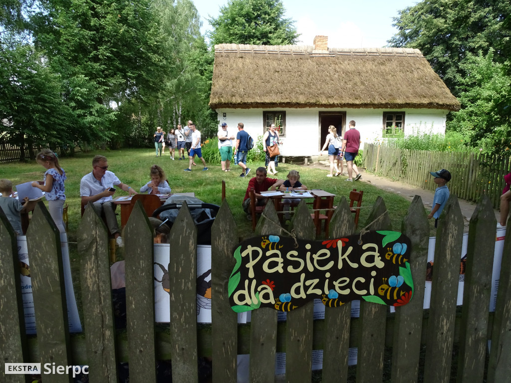 Miodobranie w skansenie
