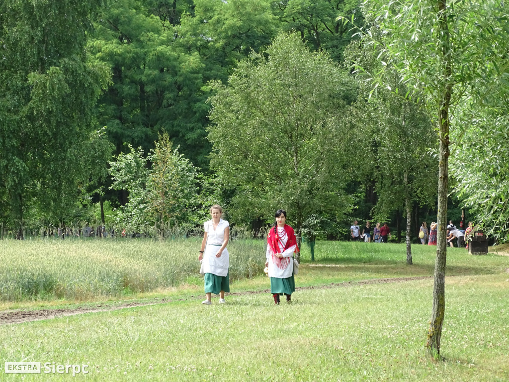 Miodobranie w skansenie