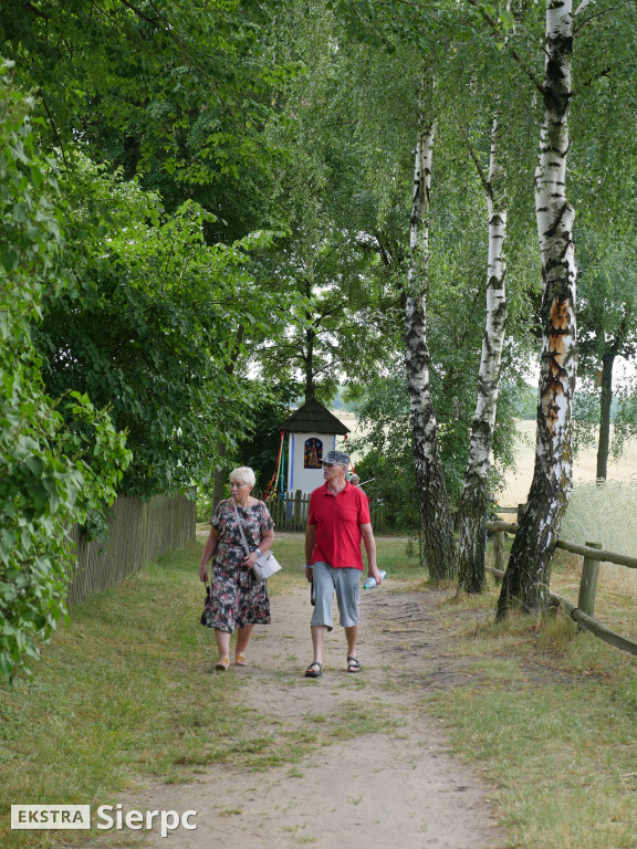 Miodobranie w skansenie