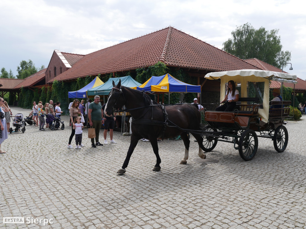 Miodobranie w skansenie