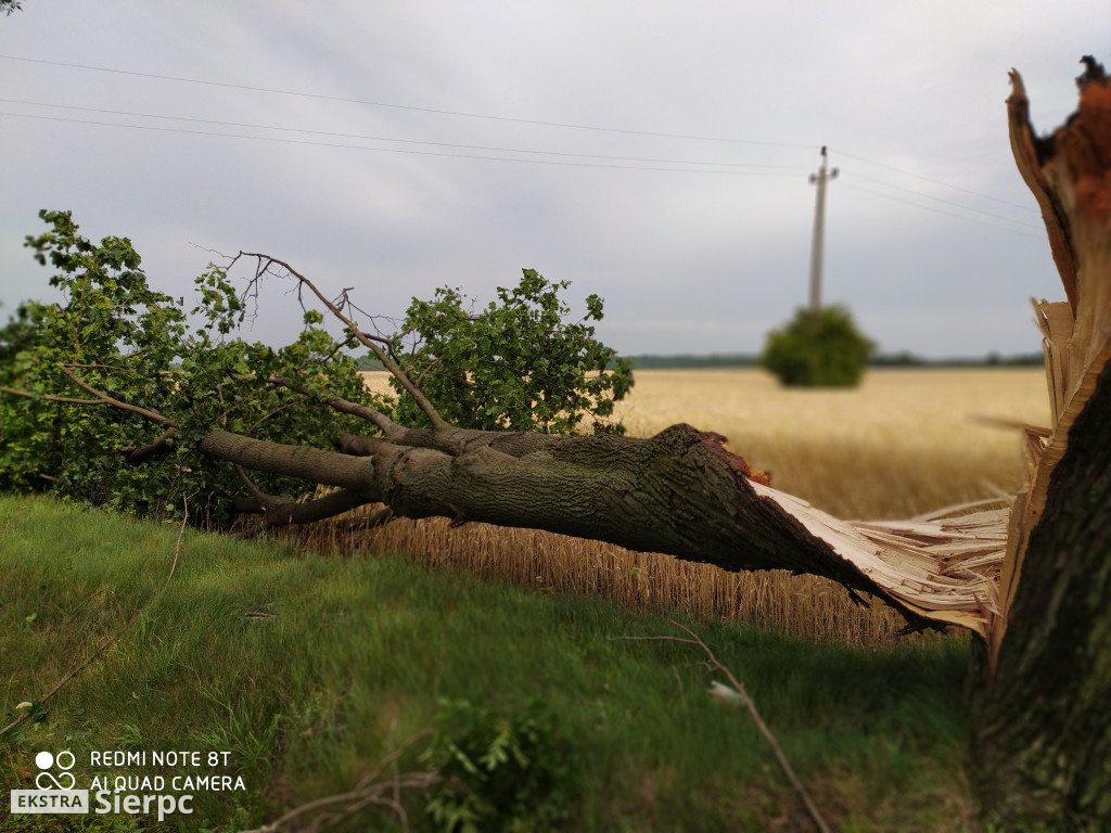 Nawałnice w powiacie sierpeckim