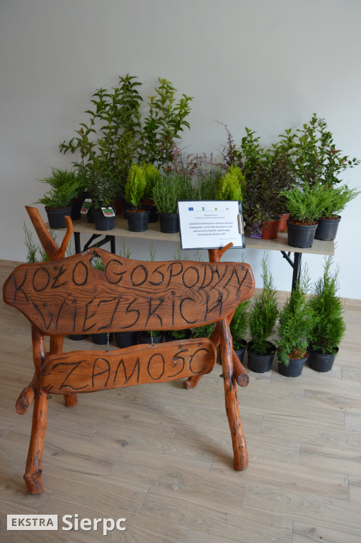 Sobota w Zamościu