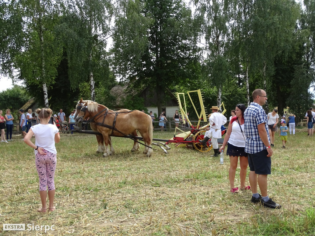 Żniwa w skansenie