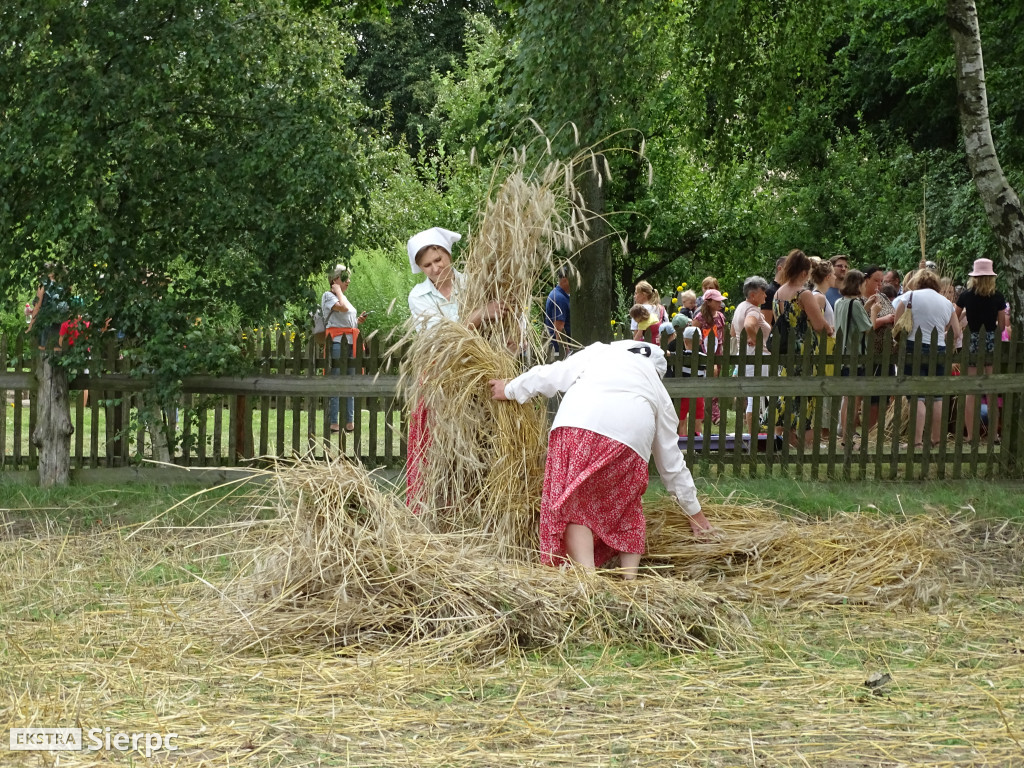 Żniwa w skansenie