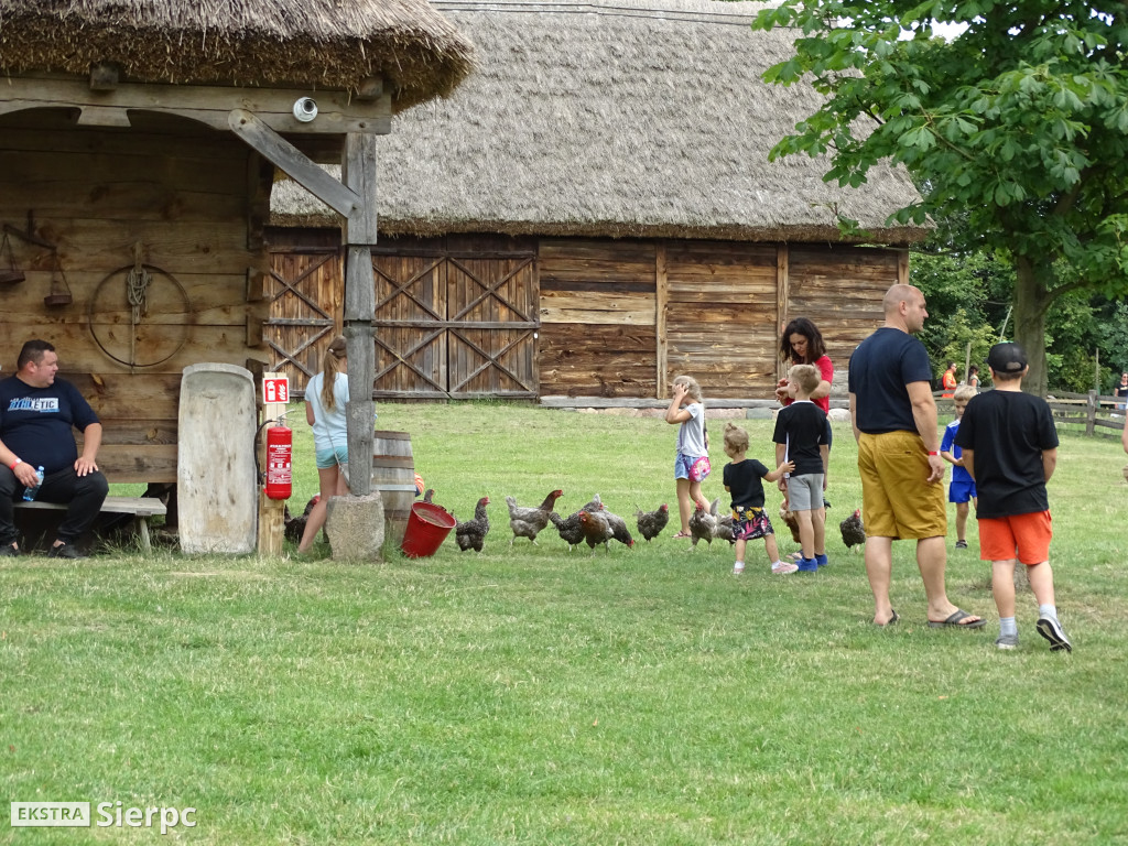 Żniwa w skansenie