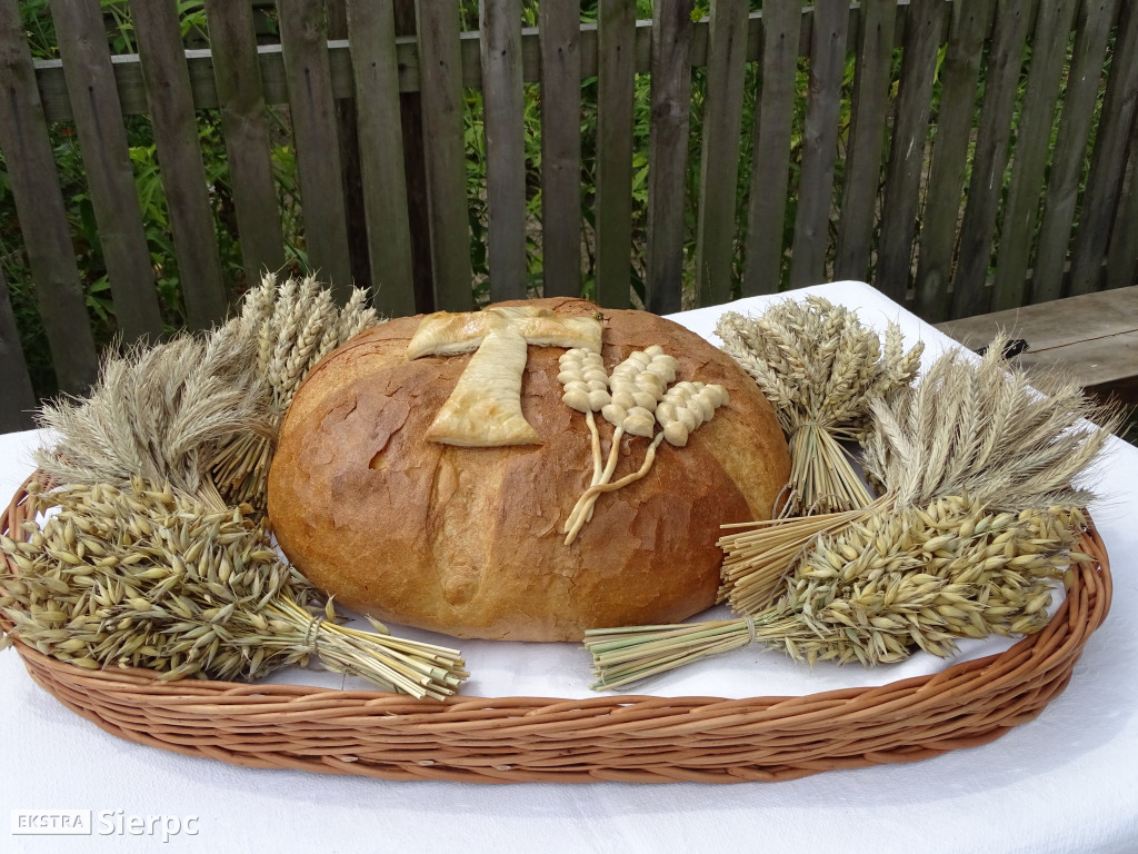 Żniwa w skansenie