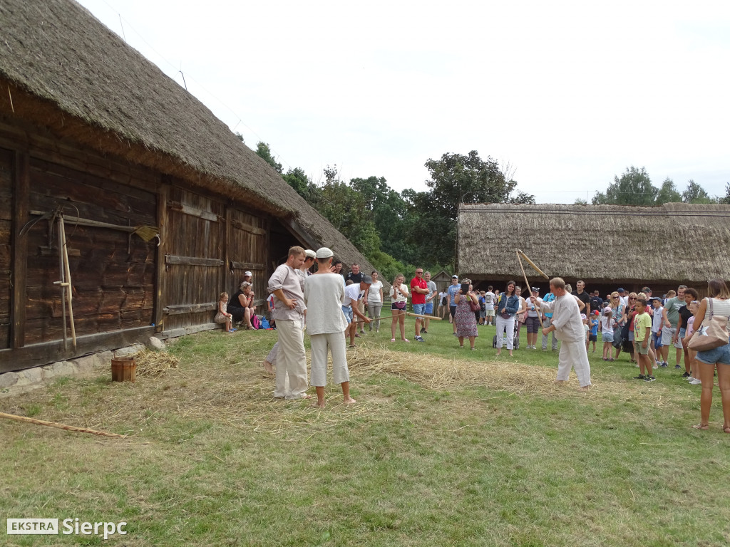 Żniwa w skansenie