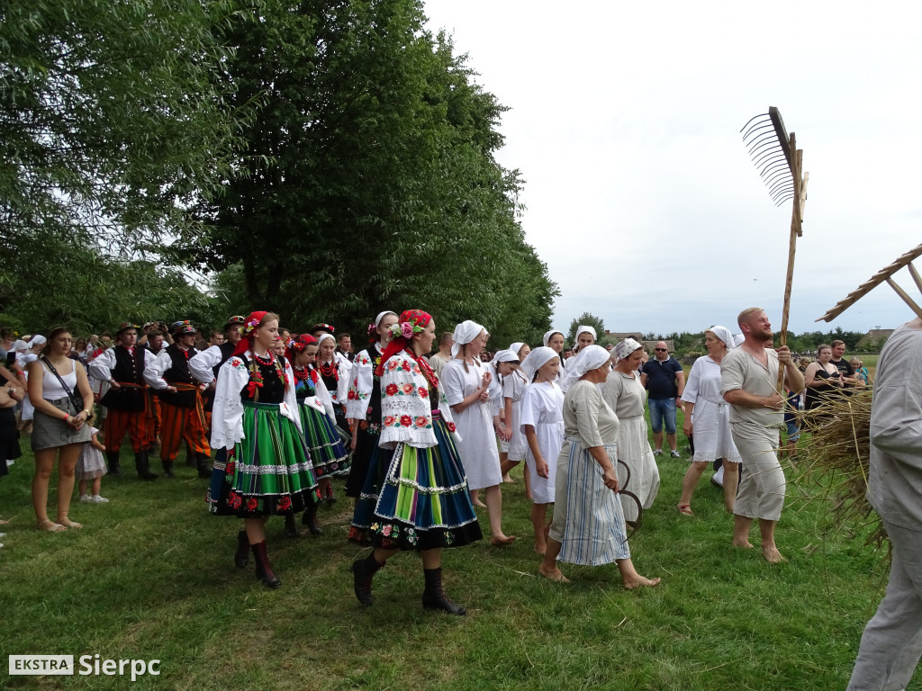 Żniwa w skansenie