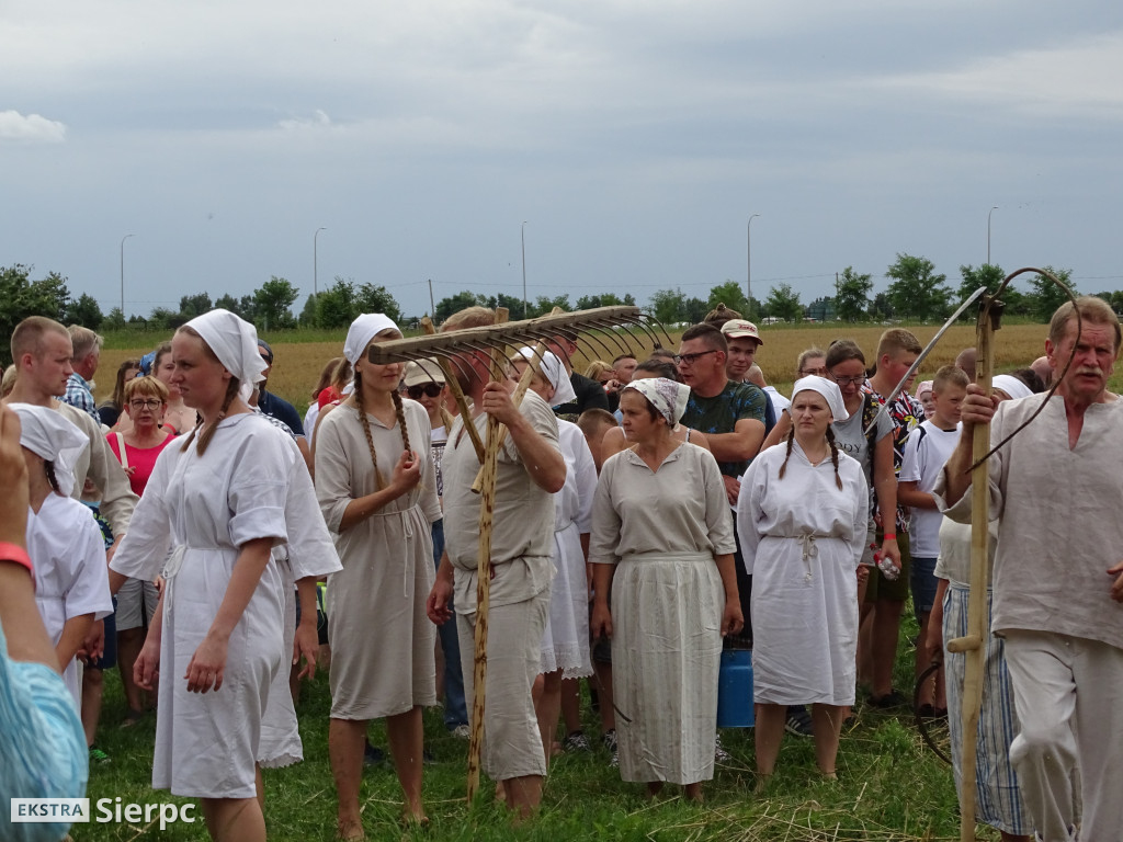 Żniwa w skansenie