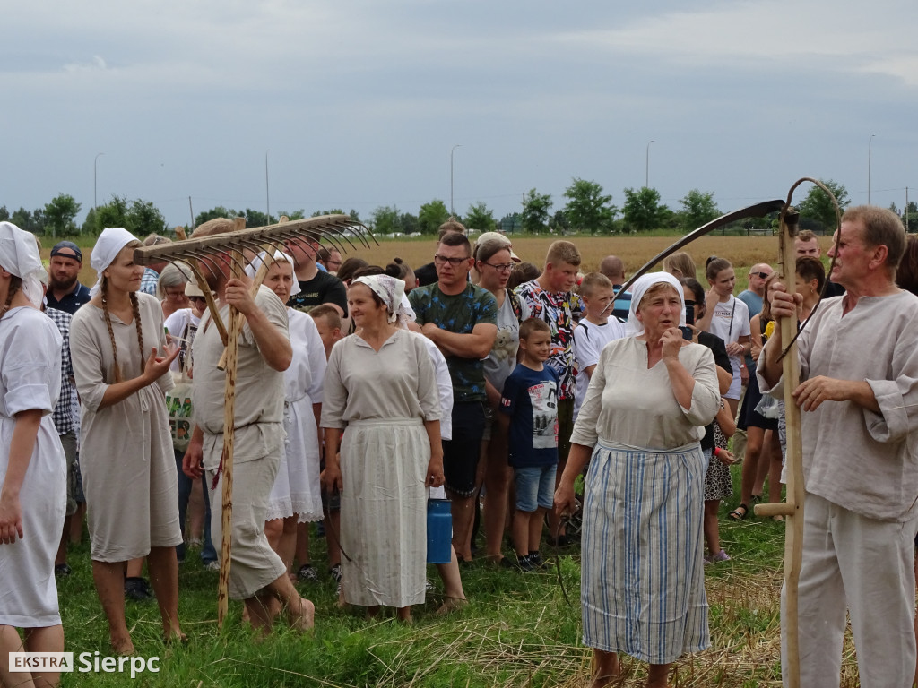 Żniwa w skansenie